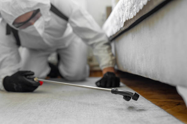 Professional Cockroach Control technician working in Mystic, CT