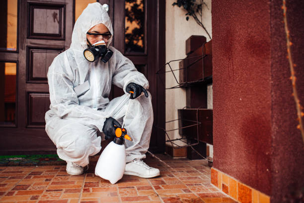 Reliable Cockroach Control contractor in Mystic, CT by Nex Pest Control